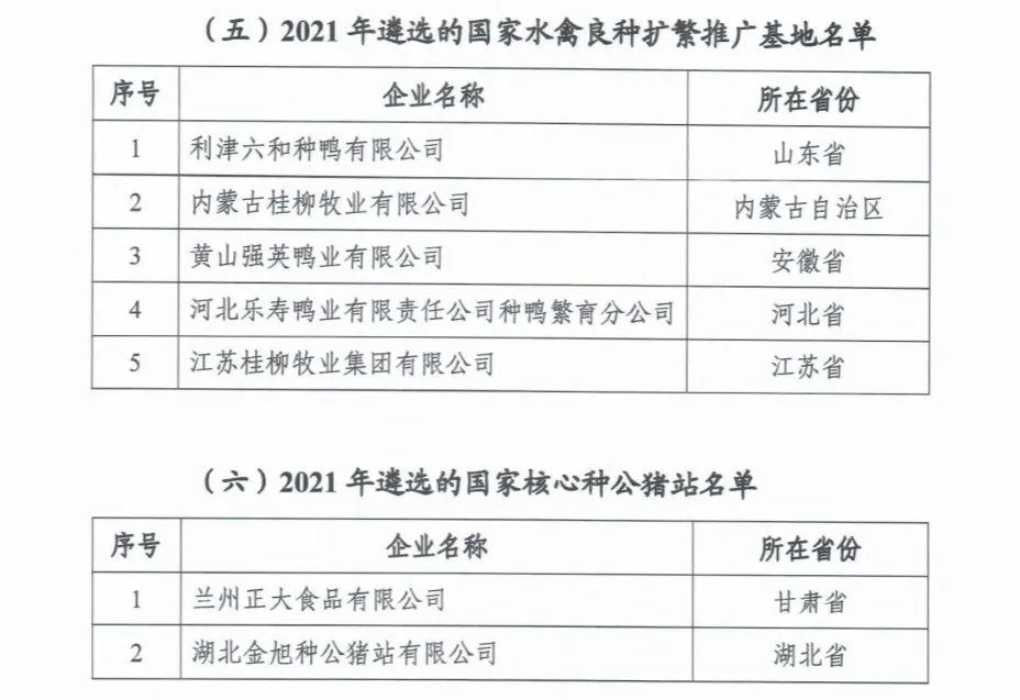 20220413160291119111 9001cc金沙以诚为本(中国)有限公司官网